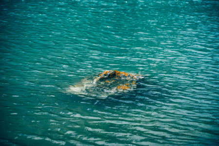 Stone with orange lichens in azure calm water of mountain lake close-up. Atmospheric nature...