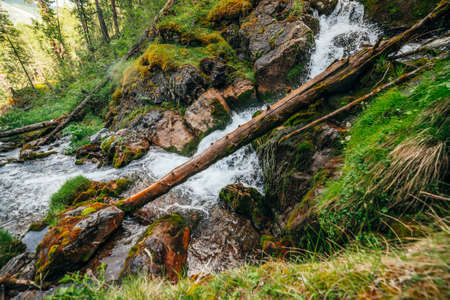 Scenic landscape with beautiful waterfall in forest among rich vegetation. Atmospheric woody scenery...