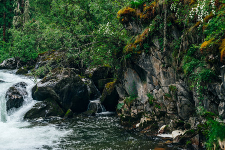 Atmospheric green forest landscape with mountain creek in rocky valley. Beautiful mystery taiga with...