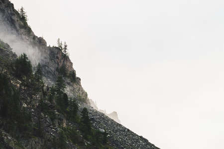 Ghostly atmospheric view to big cliff with trees in cloudy sky. Low clouds and giant rocky mountains. Mystery place at early foggy morning. Minimalist scenery to beautiful rockies. Dramatic bleak fog.の写真素材