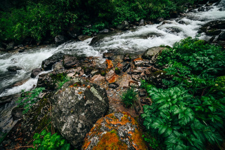 Atmospheric green forest landscape with mountain creek. Beautiful mystery taiga with wild river....