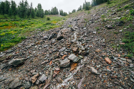 Clear spring water flows on beautiful stony steep slope. Boulder stream with small mountain creek....