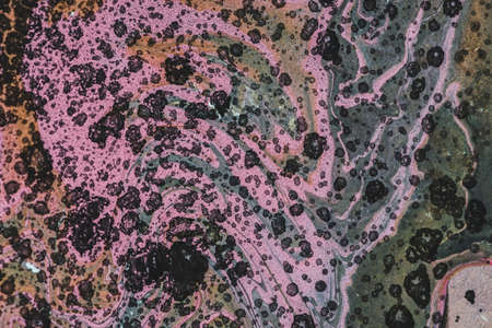 Abstract image of viruses in macro. Artistic concept of coronavirus. Fluid art background with black...