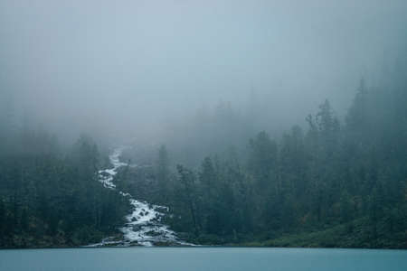 Fast creek flows between trees and flows into mountain lake. Gloomy misty landscape with highland lake and dark forest among low clouds. Alpine atmospheric scenery with conifer forest in dense fog.の写真素材