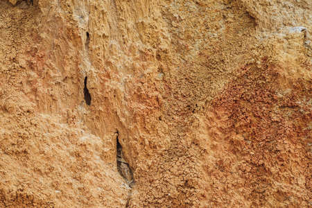 Nature background of cracked dry lands. Natural texture of soil with cracks. Broken clay surface of barren dryland wasteland close-up. Full frame to terrain with arid climate. Lifeless desert on earthの写真素材