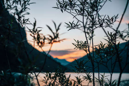Beautiful silhouette of tree branches on blurry background of alpine lake at dawn. Vivid calm water of mountain lake in sunrise colors in blur. Amazing scenery with colorful water in sunny morning.の写真素材