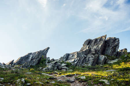 Sunny highland scenery with sharpened stones of unusual shape. Awesome scenic mountain landscape with big cracked pointed stones closeup among grass under blue sky in sunlight. Sharp rocks with cracksの写真素材
