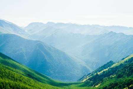 Beautiful aerial view to green forest valley and great snowy mountains far in sunny day. Awesome alpine landscape of vast expanses in sunlight. Wonderful vivid scenery with green forest mountains.の写真素材