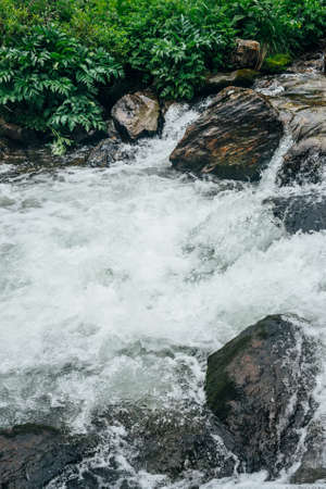 Beautiful landscape with big stones in water riffle of mountain river. Powerful water stream among...