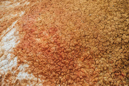 Nature background of cracked dry lands. Natural texture of soil with cracks. Broken clay surface of...