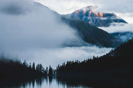 Beautiful sunny peak on sunrise above conifer forest. Alpine tranquil landscape at early morning. Silhouettes of fir trees reflected in shiny calm water of mountain lake. Atmospheric highland scenery.の写真素材