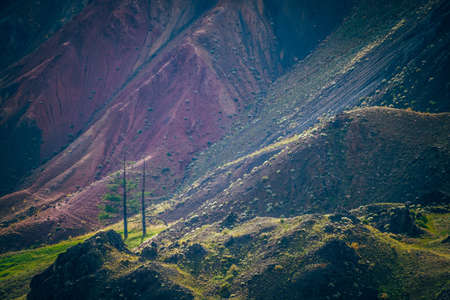 Fantasy landscape with magenta mountains. Two trees among green vegetation on slope near multicolor...