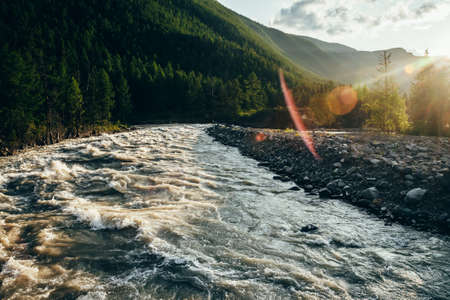 Beautiful view to powerful mountain river in golden light. Scenic landscape with mountain river along forest in sunbeams. Picturesque sunny scenery with gold rapids on fast river with stony shore.の写真素材