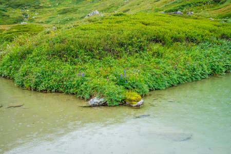 Vivid green landscape with raindrops on mountain lake. Rain drops on lake water. Colorful scenery of highland in rainy weather. Circles on green water. Wild flora on shore of alpine lake with dropletsの写真素材