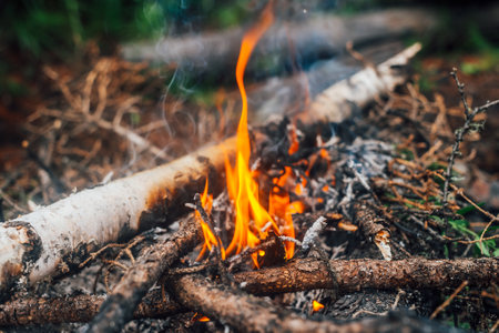 Burning branches and brushwood in fire close-up. Atmospheric warm background with orange flame of campfire and blue smoke. Beautiful full frame image of bonfire. Firewood burns in vivid flames.の写真素材