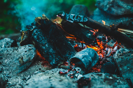 Vivid smoldered firewoods burned in fire close-up. Atmospheric warm background with orange flame of campfire and blue smoke. Wonderful full frame image of bonfire. Burning logs in beautiful fire.の写真素材
