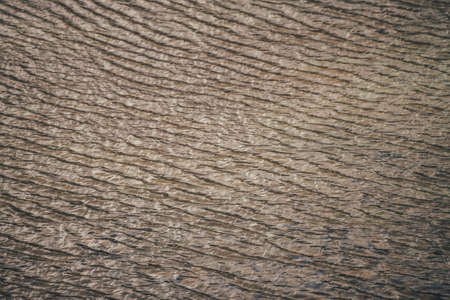 Monochrome texture of golden calm water of lake. Meditative ripples on sunny water surface. Nature...