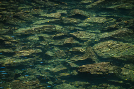 Meditative ripple of mountain lake. Beautiful relaxing background of stony bottom in turquoise transparent water of glacial lake in sunlight. Sunny backdrop with many stones in green clear water.の写真素材