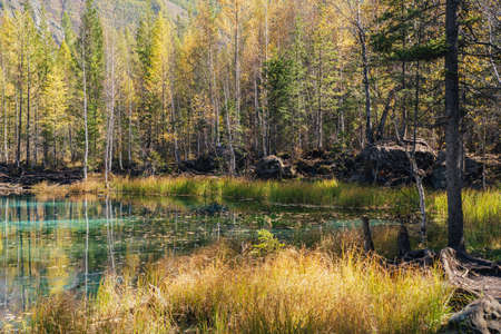Colorful autumn landscape with clear mountain lake in forest among yellow trees in sunshine. Bright scenery with beautiful turquoise lake in golden autumn colors. Unusual transparent lake in fall timeの写真素材