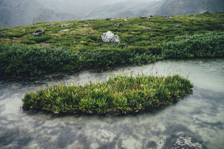 Small green islet with grasses and flowers among calm water of mountain lake with clear water....