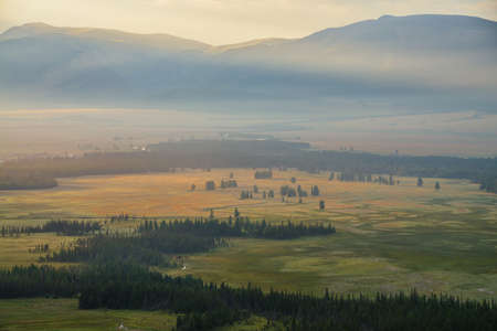 Scenic alpine landscape with trees in valley and big mountain range at yellow dawn light. Colorful nature landscape with beautiful mountains at sunset or at sunrise. Sundown of illuminating color.の写真素材