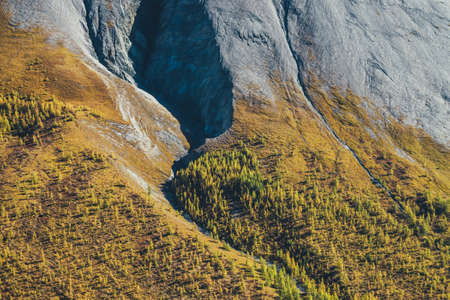 Wonderful alpine landscape with orange autumn forest on foot of rocky mountain in sunshine. Motley mountain scenery with gray rocks and forest on piedmont in golden fall colors. Autumn in mountains.の写真素材