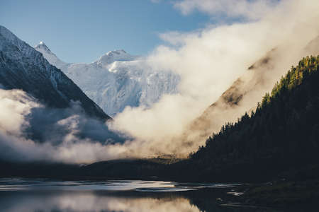 Wonderful view of snow-capped mountains above thick clouds in gold sunshine. Scenic landscape with alpine lake, silhouette of coniferous forest and high white-snow mountain wall among dense low cloudsの写真素材