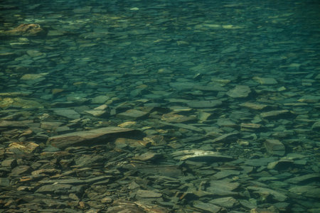 Beautiful nature background of stony bottom in turquoise transparent water of glacial lake in sunlight. Sunny backdrop with many stones in green clear water of glacier lake. Texture of mountain lake.の写真素材