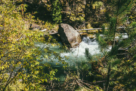 Scenic autumn landscape with big stone in mountain river among yellow leaves. Colorful mountain scenery with big boulder in wild autumn forest. Beautiful small river and golden foliage in fall time.の写真素材