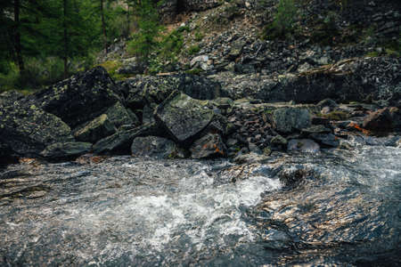 Scenic nature landscape with golden sunny shine in clear water stream. Atmospheric mountain scenery...