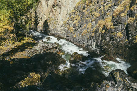 Atmospheric mountain landscape with turbulent mountain river among rocks near rocky wall in autumn time in sunshine. Beautiful alpine scenery with powerful mountain river and autumn forest in sunlightの写真素材
