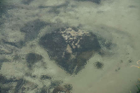 Atmospheric nature background with many black stones on sandy bottom in clear water of lake with...