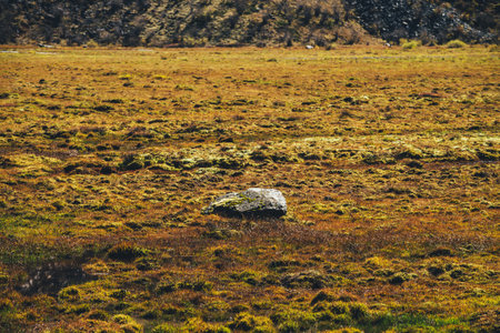 Minimalist scenic autumn landscape with mossy stone among mosses on moss field in golden sunlight in mountains. Minimal colorful scenery with sunlit gold swampy glade. Autumn minimalism in mountains.の写真素材