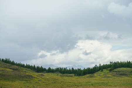 Beautiful green scenery with forest edge on hills against mountains silhouettes on horizon under cloudy sky. Atmospheric mountain landscape with forest hills and silhouettes of mountains in cloudy skyの写真素材