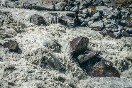 Atmospheric landscape with powerful rapids of turbulent mountain river with gray water among big boulders. Beautiful scenery with fast mountain river on moraines and small pink flowers among stones.の写真素材