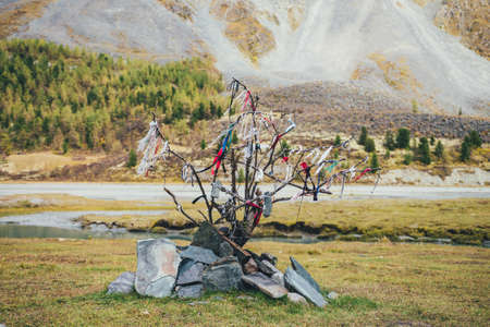 Scenic alpine landscape with stony tour with multicolor ribbons in mountain valley in autumn colors. Colorful autumn scenery with stone tour with view to water stream and sunlit golden mountainside.の写真素材