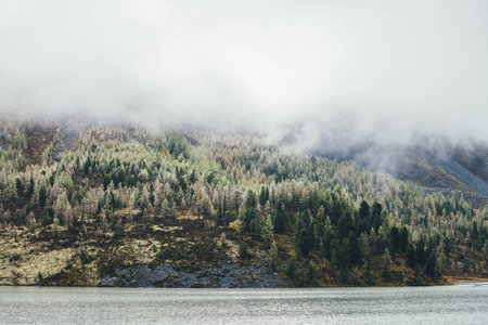 Colorful autumn landscape with mountain lake and coniferous forest with hoarfrost on trees on mossy...