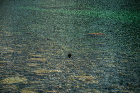 Meditative ripple of mountain lake. Beautiful relaxing background of stony bottom in turquoise transparent water of glacial lake in sunlight. Sunny backdrop with many stones in green clear water.の写真素材