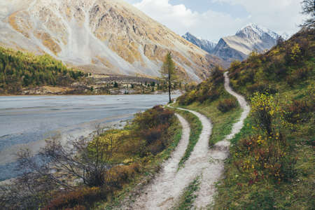 Scenic mountain landscape with footpath along water streams in motley autumn valley. Colorful autumn scenery with pathway near mountain creek and multicolor flora in mountain valley in autumn colors.の写真素材