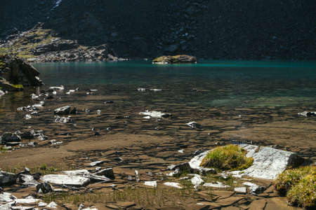 Sunny beautiful scenery with mosses and grasses on stones near water edge of mountain lake in sunlight. Scenic landscape with mountain flora near edge of glacial lake. Clear water of glacier lake.の写真素材