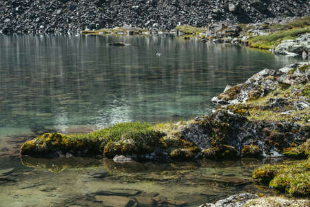 Rock with mosses and grasses near water edge of mountain lake in sunlight. Scenic landscape with mountain flora on rock in shape of crocodile or lizard near edge of glacial lake. Sunny vivid scenery.の写真素材