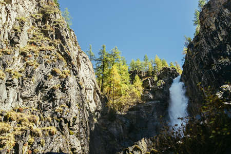 Scenic autumn landscape with vertical big waterfall and yellow trees at mountain top in sunshine. Powerful large waterfall in rocky gorge. High falling water and trees of golden colors in fall time.の写真素材