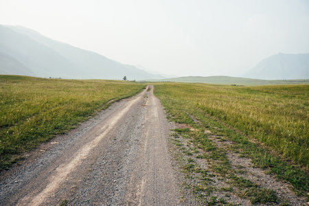 Beautiful green mountain landscape with long dirt road and big mountains in fog. Atmospheric foggy mountain scenery with length road among hills. Scenic view to tree near dirt road in big mountains.の写真素材