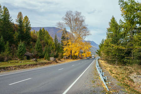 Two cars on mountain highway in autumn landscape with yellow trees in sunny day. Mountain road in autumn colors. Highway in mountains in fall. Russia, Altai Republic, Chuysky tract, 22 September, 2020のeditorial素材