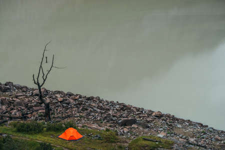 Scenic landscape with one vivid orange tent and beautiful dead tree near mountain lake water. Atmospheric scenery with alone bright orange tent and dry tree near edge water surface of mountain lake.の写真素材