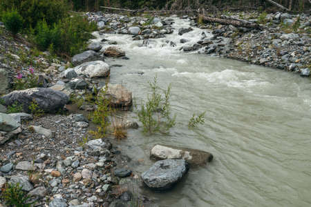 Beautiful green scenery with mountain river with stones and boulders in fast water among lush...