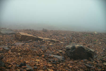Stone field in dense fog in highlands. Empty stone desert in thick fog. Zero visibility in mountains. Minimalist nature background. Dark atmospheric foggy mountain landscape. Lichens on sharp stones.の写真素材