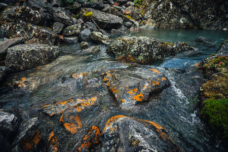 Scenic nature background of turquoise clear water stream among rocks with mosses and lichens. Atmospheric mountain landscape with mossy stones in transparent mountain creek. Beautiful mountain stream.の写真素材