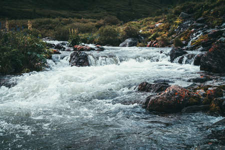Beautiful landscape with big mossy boulders in clear water of powerful mountain river near wild thickets. Colorful scenery of rapids on transparent water of mountain creek and wild flora of mountains.の写真素材