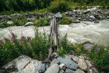 Small pink flowers of fireweed on background of fast turbulent mountain creek with log bridge. Scenic landscape with wooden bridge across mountain river. Beautiful scenery with wood bridge over creek.の写真素材